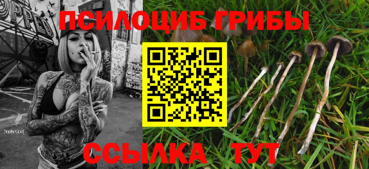 Учалы  что такое   Вход с VPN  Псилоцибиновые грибы ЛСД 